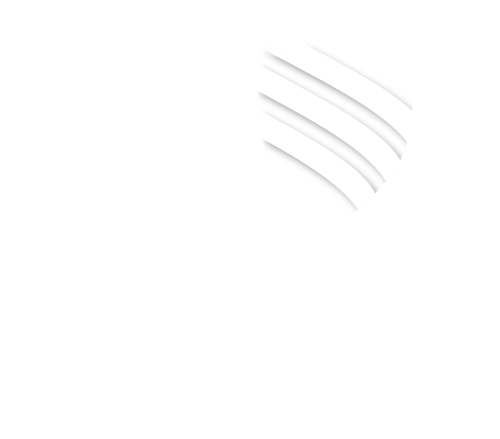 logo bianco de salvo salumi