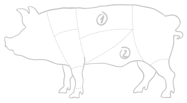 disegno parte del maiale per salsiccia